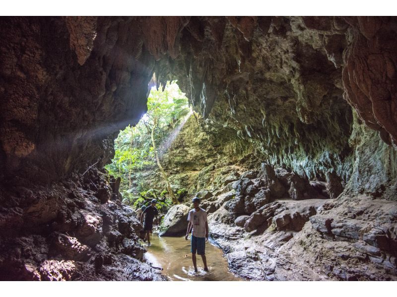 [Iriomote Island/Half day] Explore 3 natural limestone caves on Iriomote Island, a world heritage site! Powerful caving tour [Free photo data/equipment rental] Spring sale underwayの紹介画像