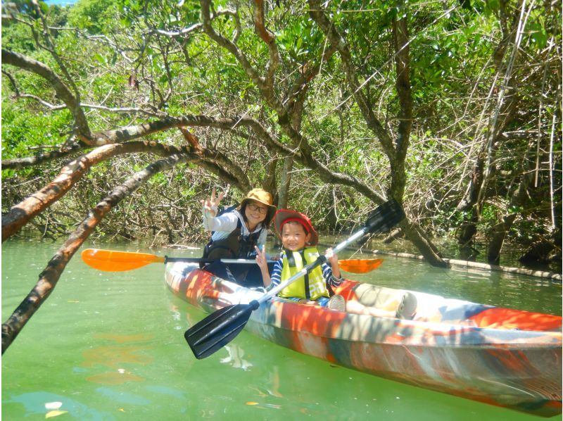 [Central Main Island] Mangrove Kayak Tour ★1 child under junior high age is free & half price ★