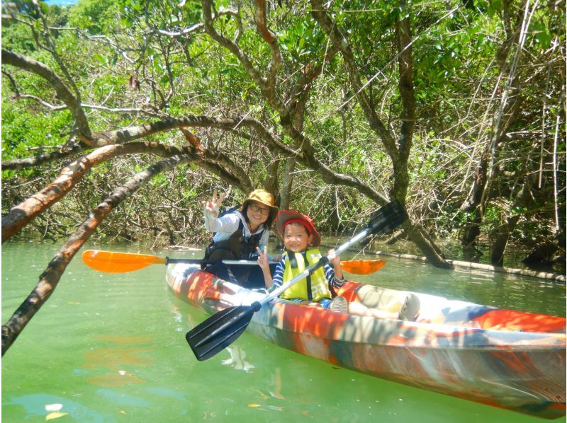 Family Discount [Central Main Island] Mangrove Kayak Tour★Free for 1 child under junior high school age and half price★Gift tour image!の紹介画像