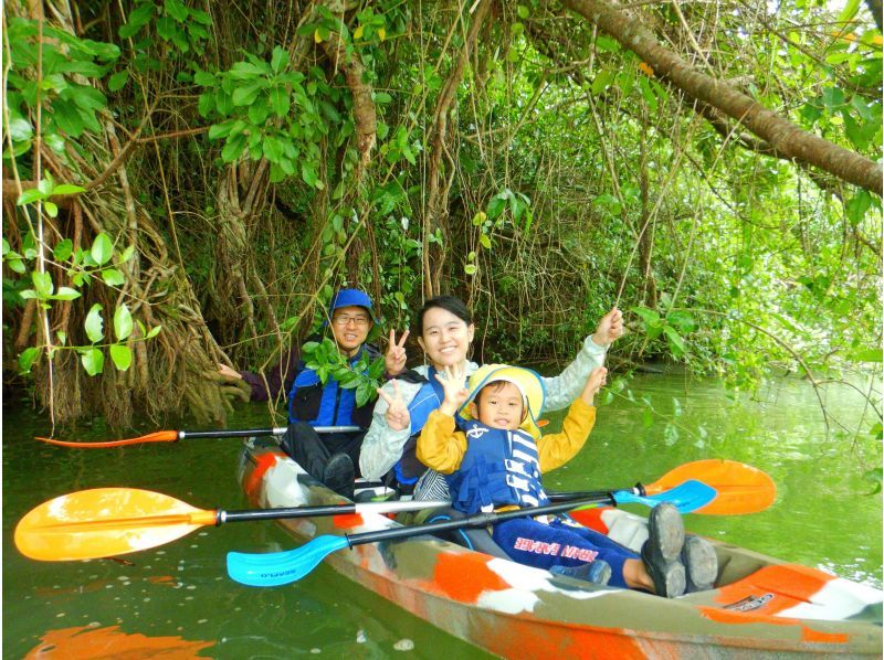 Family Discount [Central Main Island] Mangrove Kayak Tour★Free for 1 child under junior high school age and half price★Gift tour image!の紹介画像