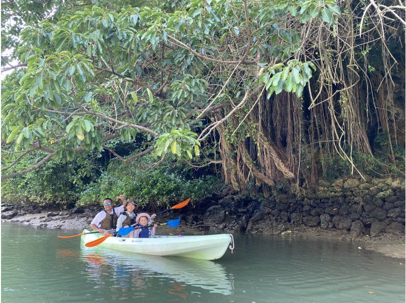 家族割引【本島中部】マングローブカヤックツアー★中生以下のお子様1名無料＆半額★ツアー画像プレゼント！の紹介画像