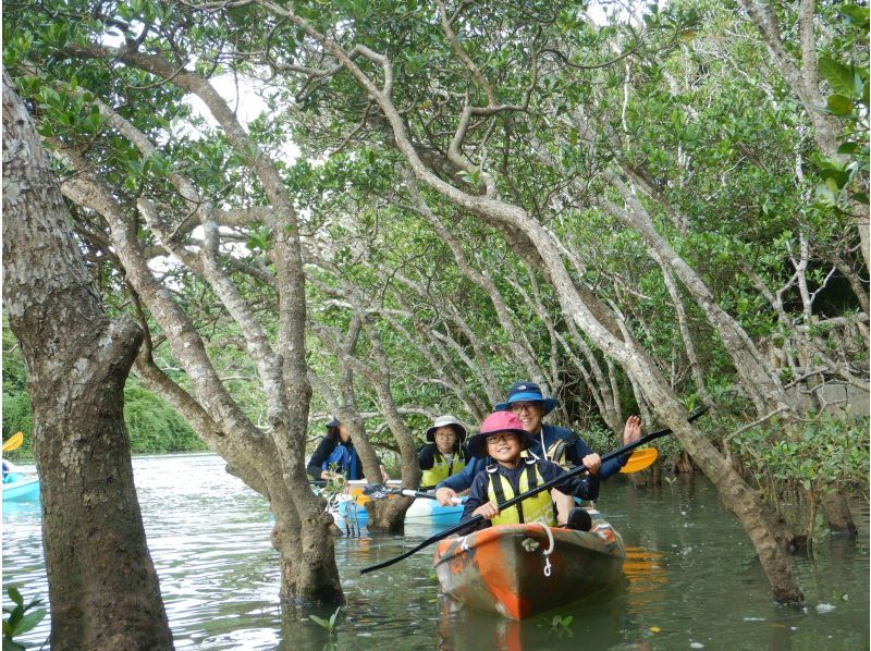 Family Discount [Central Main Island] Mangrove Kayak Tour★Free for 1 child under junior high school age and half price★Gift tour image!の紹介画像