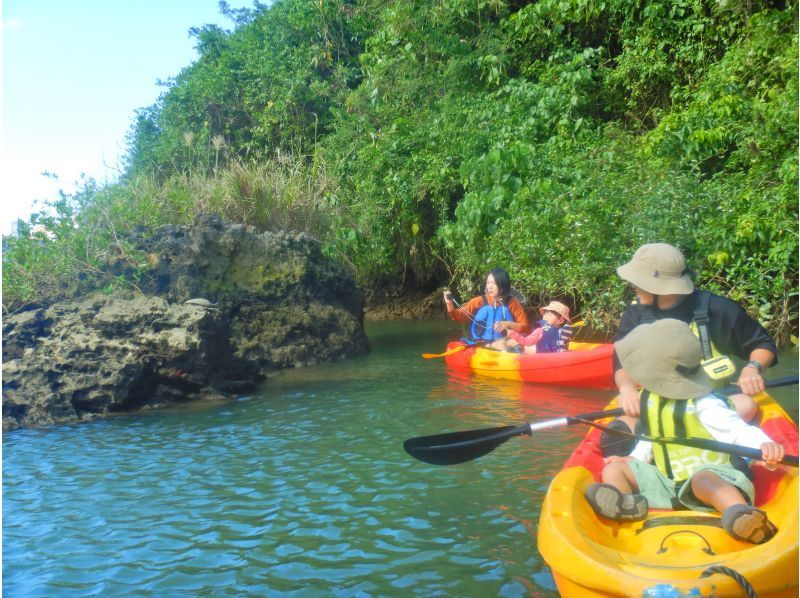 Family Discount [Central Main Island] Mangrove Kayak Tour★Free for 1 child under junior high school age and half price★Gift tour image!の紹介画像