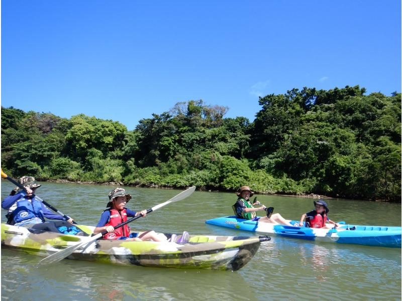 Family Discount [Central Main Island] Mangrove Kayak Tour★Free for 1 child under junior high school age and half price★Gift tour image!の紹介画像