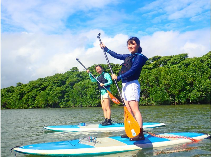 [เกาะอิชิงากิ/ครึ่งวัน] อนุสรณ์สถานธรรมชาติ! เลือกระหว่างการล่องเรือ SUP หรือพายเรือแคนูในป่าชายเลน ★ บริการขนส่ง/ข้อมูลภาพถ่าย/ให้เช่าอุปกรณ์ฟรีの紹介画像