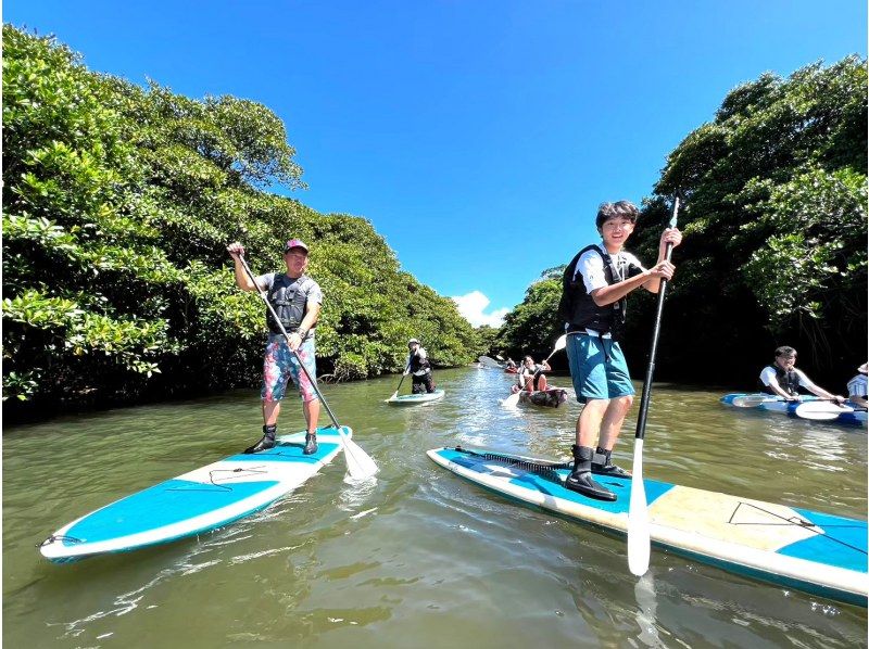 [Ishigaki Island/Half-day] Natural Monument! Choose from SUP or canoe cruising in the mangroves ★ Free pick-up/drop-off/photo data/equipment rentalの紹介画像