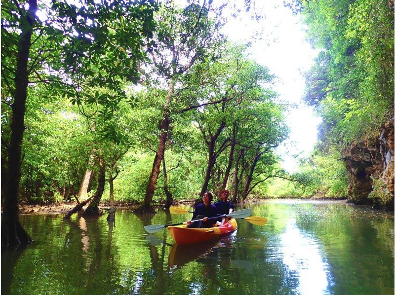 [Ishigaki Island/Half-day] Natural Monument! Choose from SUP or canoe cruising in the mangroves ★ Free pick-up/drop-off/photo data/equipment rental [Student discount plan]の紹介画像