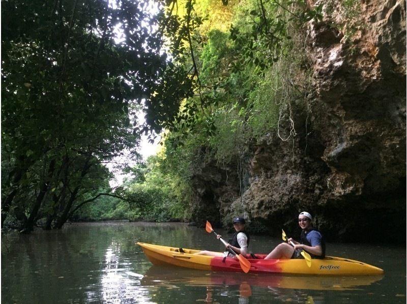 [Ishigaki Island/Half-day] Natural Monument! Choose from SUP or canoe cruising in the mangroves ★ Free pick-up/drop-off/photo data/equipment rental [Student discount plan]の紹介画像