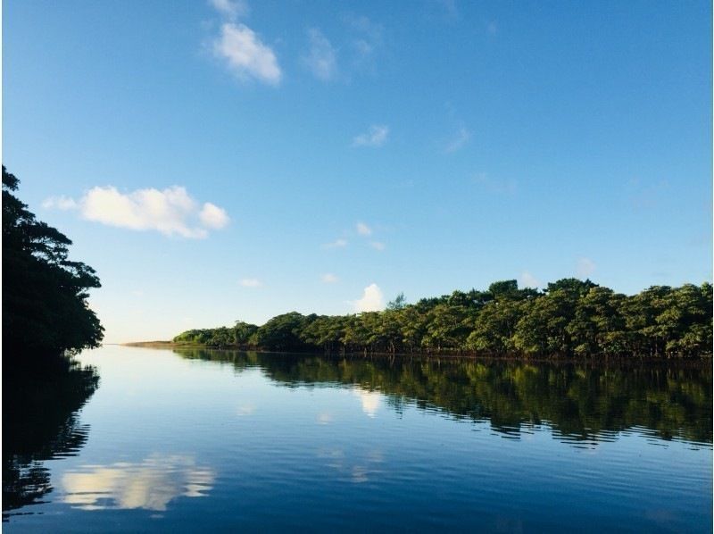 [Ishigaki Island/Half-day] Natural Monument! Choose from SUP or canoe cruising in the mangroves ★ Free pick-up/drop-off/photo data/equipment rental [Student discount plan]の紹介画像