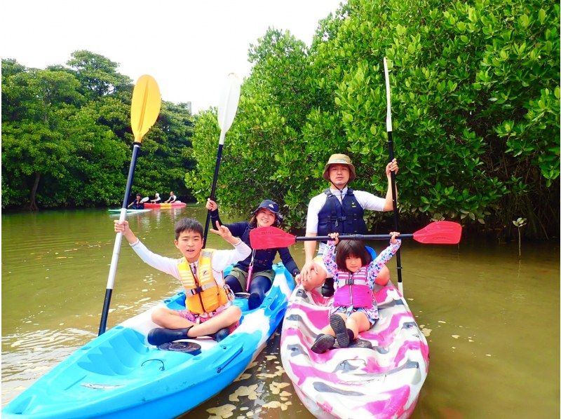 [Ishigaki Island/Half-day] Natural Monument! Choose from SUP or canoe cruising in the mangroves ★ Free pick-up/drop-off/photo data/equipment rental [Student discount plan]の紹介画像