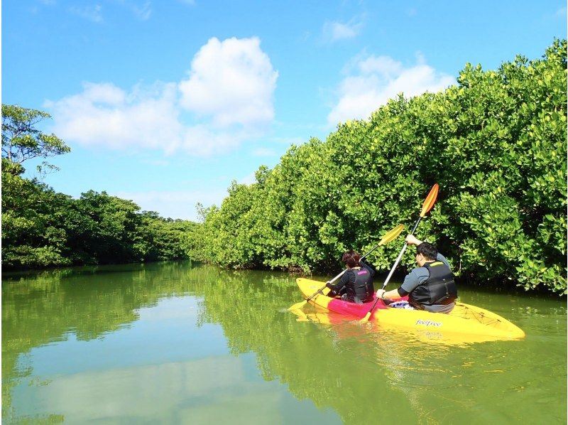 [Ishigaki Island/Half-day] Natural Monument! Choose from SUP or canoe cruising in the mangroves ★ Free pick-up/drop-off/photo data/equipment rental [Student discount plan]の紹介画像