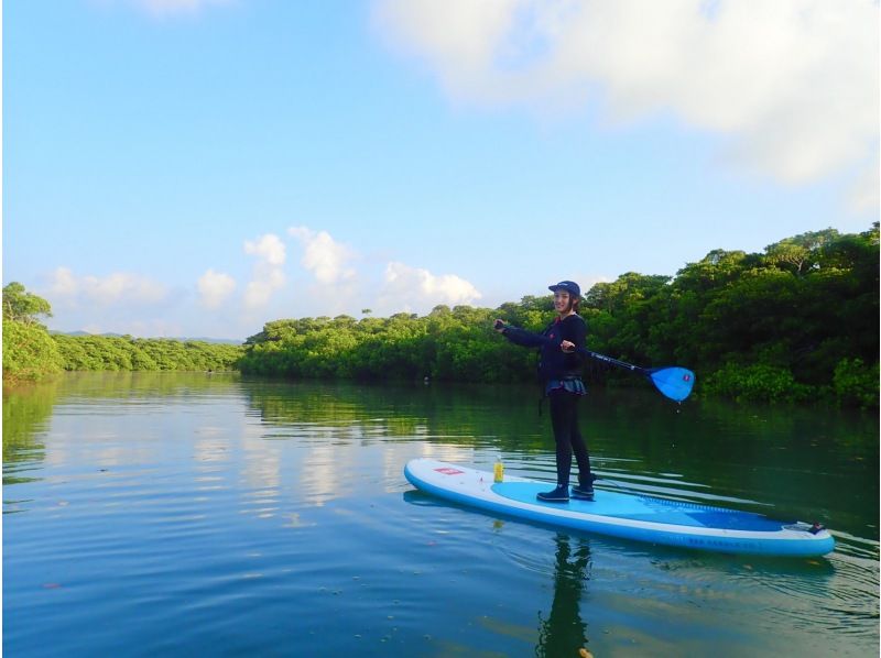 [石垣島/半天]天然紀念物！選擇 SUP 或獨木舟在紅樹林中巡遊 ★免費交通/照片數據/設備租賃[學生折扣計劃]の紹介画像