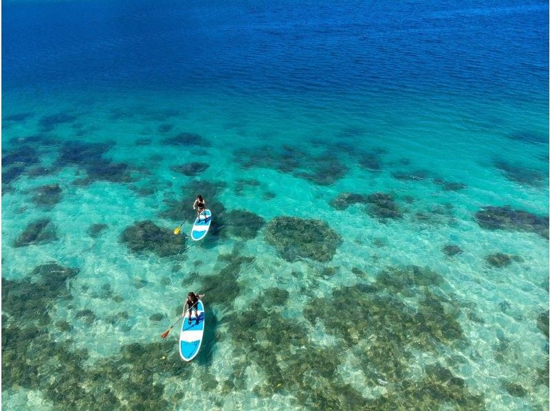 [石垣島/ 1天]當地優惠券目標！尋找海龜！ Kabira Bay SUP / Canoe & Blue Cave Snorkeling [設備租賃/照片數據/免費淋浴]の紹介画像