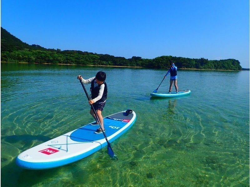 【石垣島 人気No.1ツアー】川平湾SUPorカヌー&青の洞窟シュノーケリング＆滝つぼ遊びの紹介画像