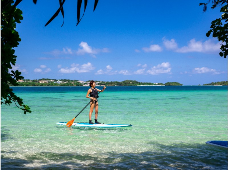 [Ishigaki Island/1 day] If you're not sure what to do, try this! The two most popular things to do in Ishigaki Island! Kabira Bay SUP/canoeing & Blue Cave snorkeling ★Look for sea turtles★Free photos★ [Student discount plan]の紹介画像