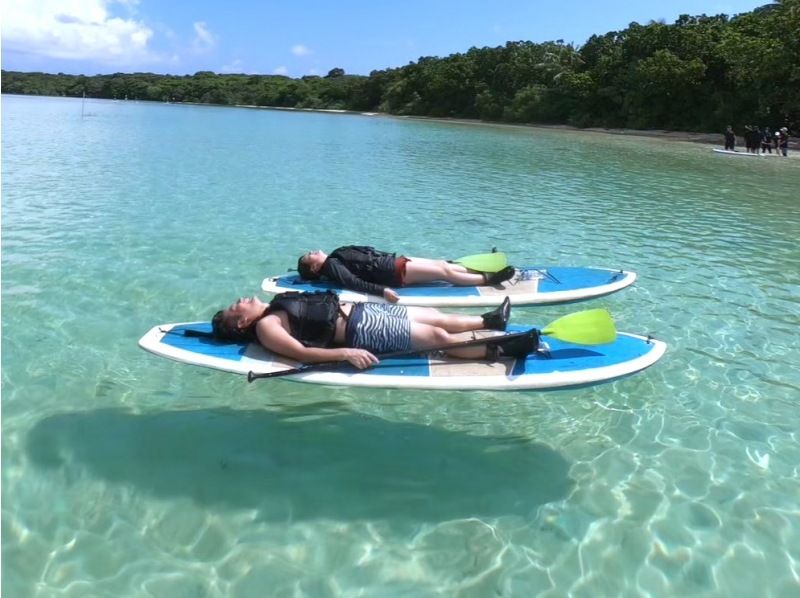 [Ishigaki Island/1 day] If you're not sure what to do, try this! Ishigaki Island's two most popular activities! Kabira Bay SUP/canoeing & Blue Cave snorkeling ★Look for sea turtles★Free photos★の紹介画像