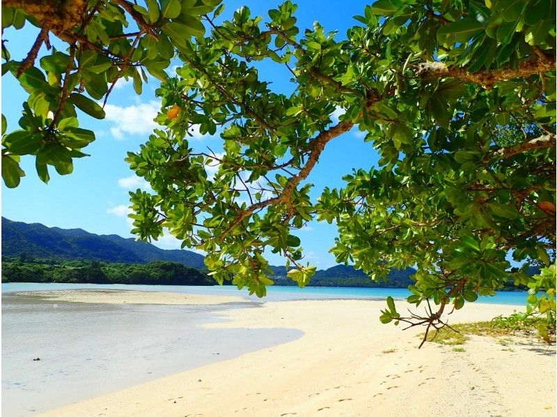 【石垣島 人気No.1ツアー】川平湾SUPorカヌー&青の洞窟シュノーケリング＆滝つぼ遊びの紹介画像