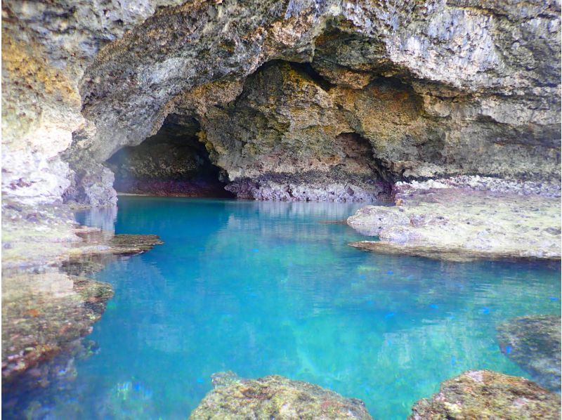 [Ishigaki Island/1 day] Enjoy the sea and river for a day! Natural Monument Mangrove SUP/Canoe & Blue Cave Snorkeling ★ Free pick-up and drop-off/photo data!の紹介画像