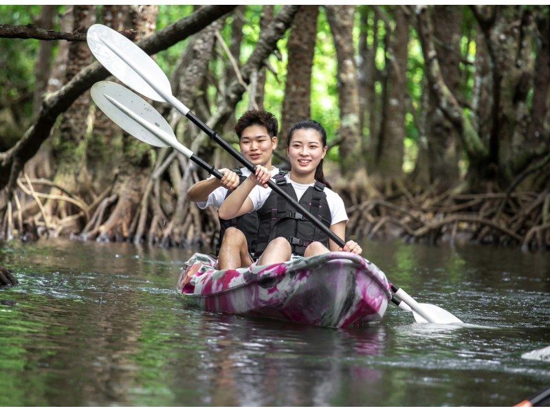 [Ishigaki Island/1 day] Enjoy the sea and river for a day! Natural Monument Mangrove SUP/Canoe & Blue Cave Snorkeling ★ Free pick-up and drop-off/photo data! [Student discount plan]の紹介画像