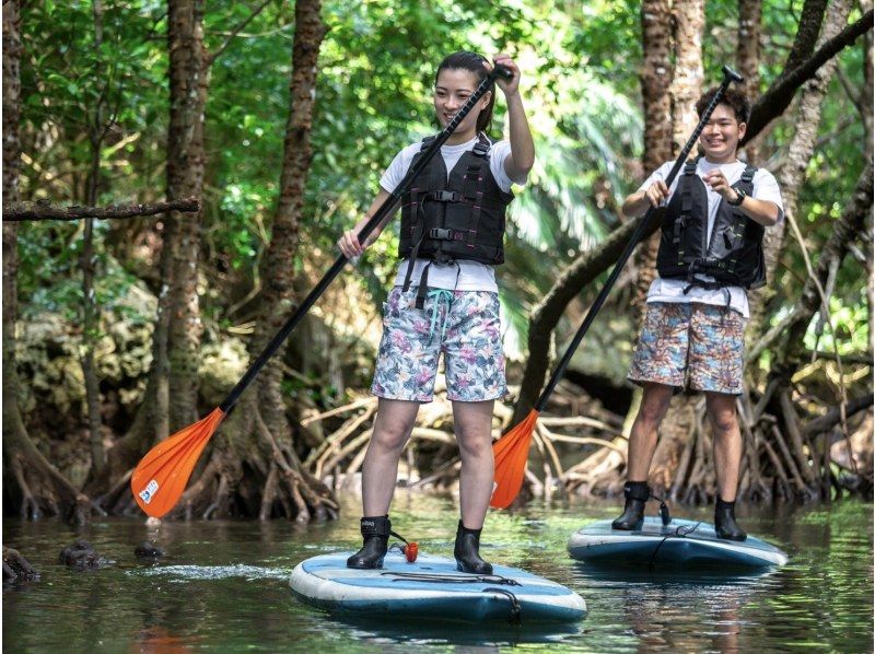 [Ishigaki Island/1 day] Enjoy the sea and river for a day! Natural Monument Mangrove SUP/Canoe & Blue Cave Snorkeling ★ Free pick-up and drop-off/photo data!の紹介画像