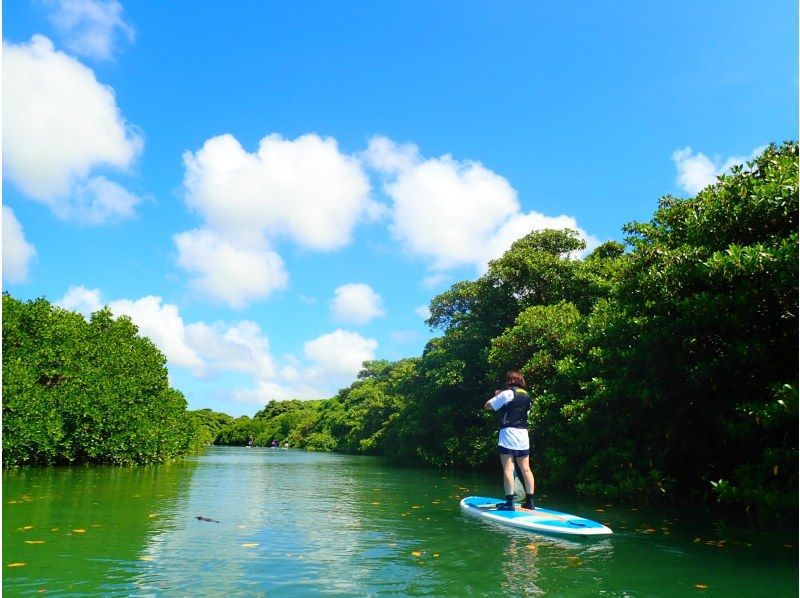 [Ishigaki Island/1 day] Enjoy the sea and river for a day! Natural Monument Mangrove SUP/Canoe & Blue Cave Snorkeling ★ Free pick-up and drop-off/photo data!の紹介画像