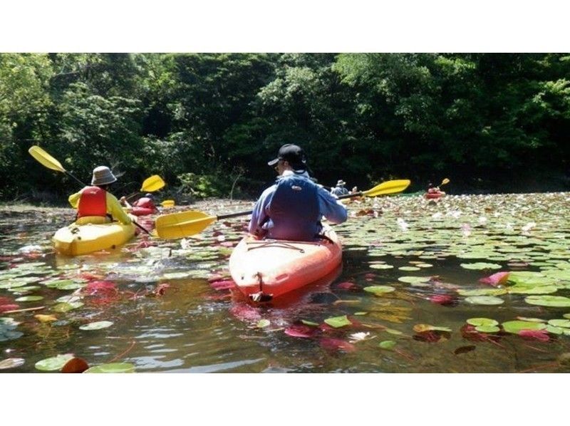 【 ทตโตริ・อุราโดเมะไคซัง 】เพลิดเพลินไปกับสี่ฤดูกาล! โอเอซิสของเนินทราย "Polyke Pond" ประสบการณ์ พายเรือคายัก ♪の紹介画像