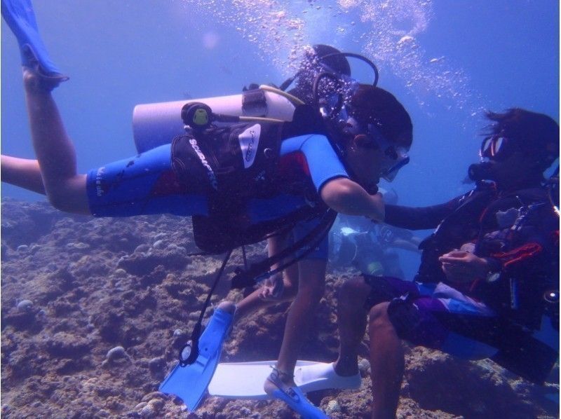 [Okinawa Blue Cave Recommended Store] If it's not fun, it's not play! Fully chartered tour is popular "Diving shop Nagomi"