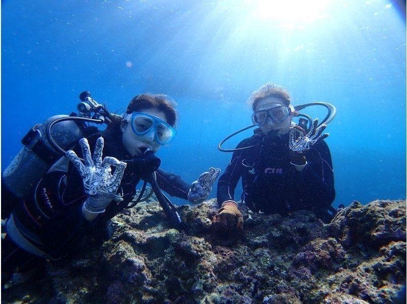 伊良部島 体験ダイビング