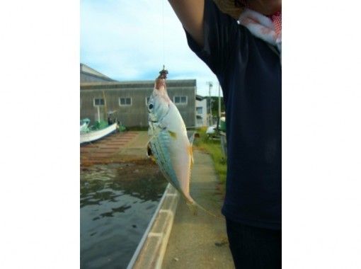 【 千葉 ·Minami Boso·Tateyama】手工製作OK！海釣體驗@ 租賃釣魚竿！初學者和兒童歡迎♪/ 90分鐘課程の紹介画像