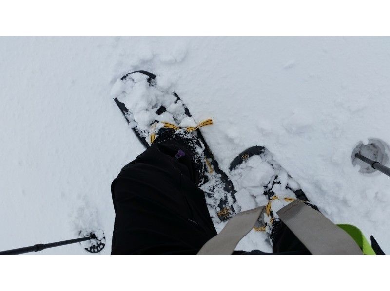[滋賀-湖西]隨意走在Snow Treck的雪地上〜蓬鬆~~（第一版·租賃寫）の紹介画像