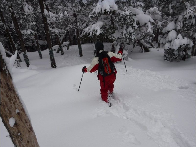 【滋賀・湖西】お気軽Snow Treck～フカフカの雪の上を歩いてみよう～（初めて編・レンタル込み）の紹介画像