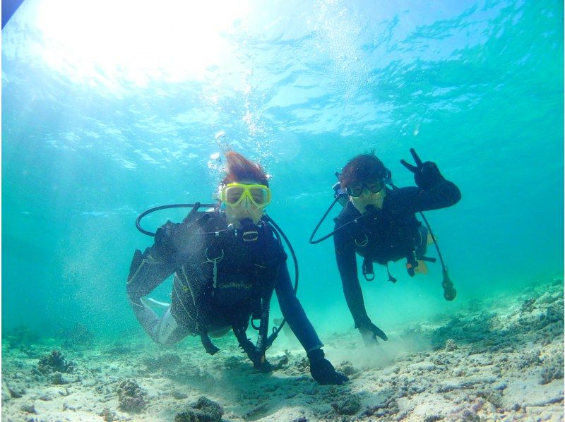 【沖縄・石垣島】☆１組限定☆半日コース・絶景！幻の島上陸＆体験ダイビング☆の紹介画像