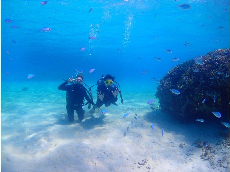 【沖縄・石垣島】☆１組限定☆半日コース・絶景！幻の島上陸＆体験ダイビング☆の紹介画像