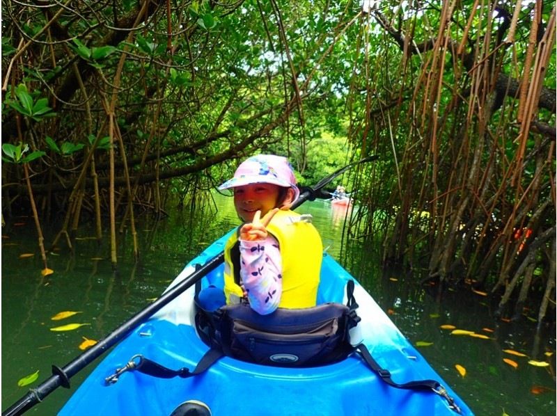 [Okinawa / Ishigaki Island] Reservation is OK until 12:00 on the day! Safe and secure small group ☆ Mangrove kayak jungle exploration ☆ 2 hour plan with tidal flat walk ♪ Photo giftの紹介画像