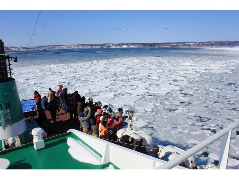 北海道の「網走流氷観光砕氷船おーろら」に乗る流氷クルージングの様子