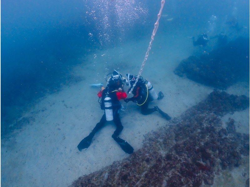 【ドライスーツ無料！渋谷から木、金、土曜日/送迎無料】1.5日でお気軽ダイビングライセンス取得プラン(最大潜水深度12m)の紹介画像