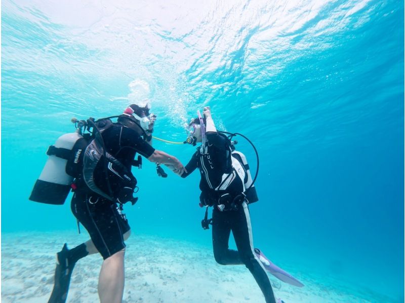 【ドライスーツ無料！渋谷から木、金、土曜日/送迎無料】1.5日でお気軽ダイビングライセンス取得プラン(最大潜水深度12m)の紹介画像