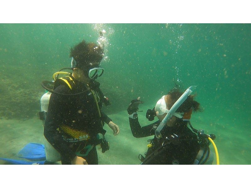 [東京發行 -神奈川·三浦半島] NAUI護照潛水員課程（2天：潛入深度為12米的資格）の紹介画像