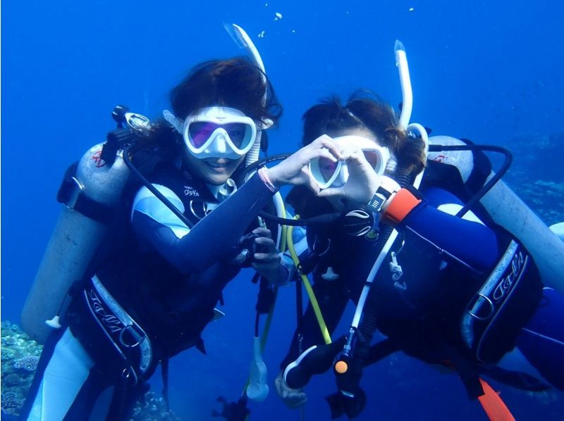 【ドライスーツ無料！渋谷から木、金、土曜日/送迎無料】1.5日でお気軽ダイビングライセンス取得プラン(最大潜水深度12m)の紹介画像