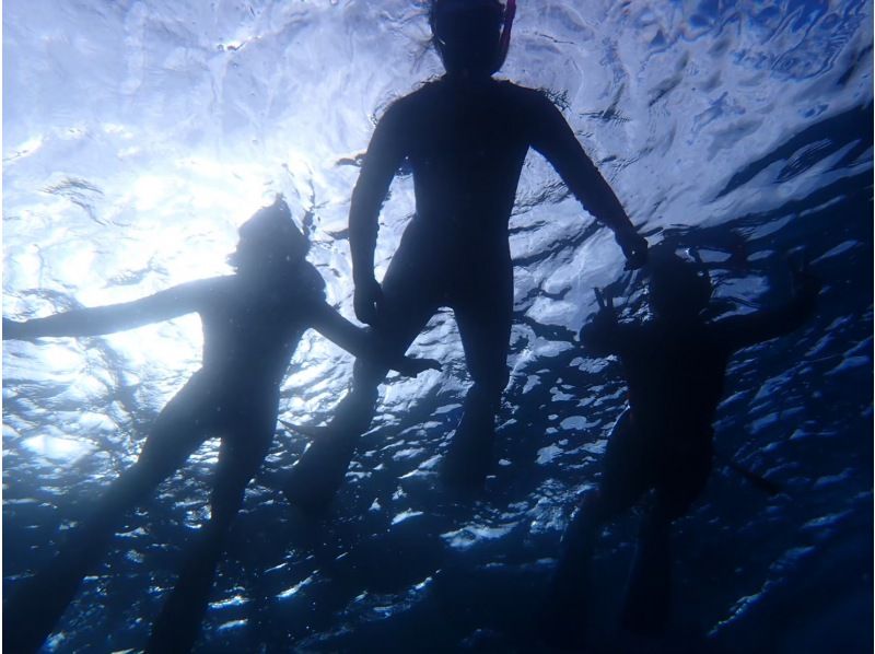 『渋谷駅、新横浜駅から土、日曜日/送迎無料』神奈川・三浦半島　水中世界を覗いてみよう！本格的スノーケリングプログラム！の紹介画像