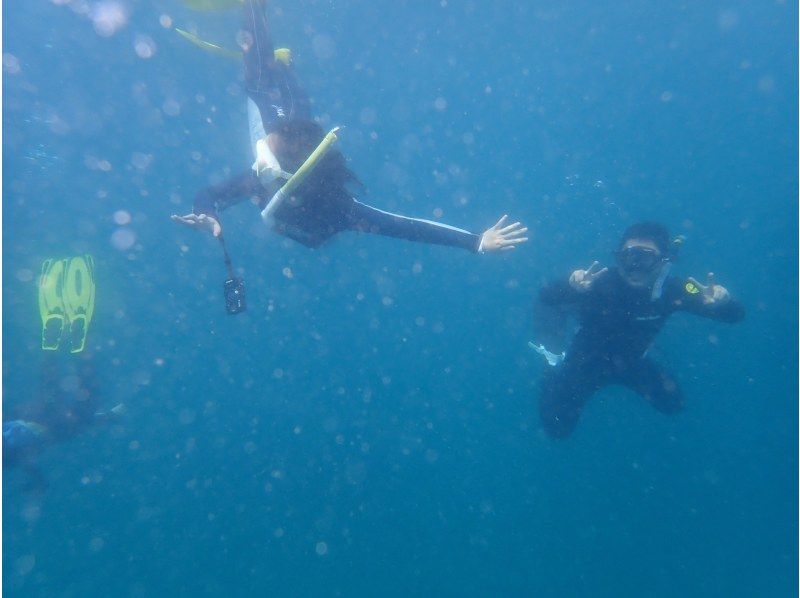『渋谷駅、新横浜駅から土、日曜日/送迎無料』神奈川・三浦半島　水中世界を覗いてみよう！本格的スノーケリングプログラム！の紹介画像
