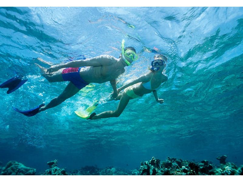 Super Summer Sale Special Discount "Let's take a peek into the underwater world! Full-scale snorkeling program! With family, couples and friends!の紹介画像