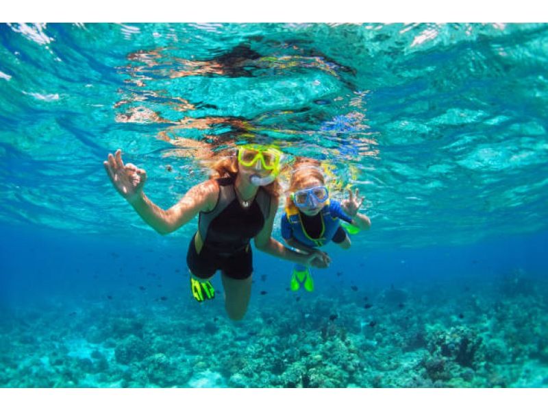 Super Summer Sale Special Discount "Let's take a peek into the underwater world! Full-scale snorkeling program! With family, couples and friends!の紹介画像