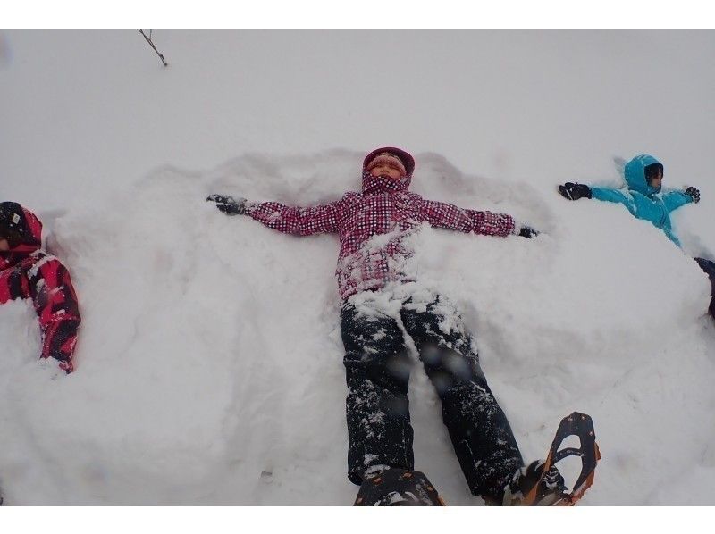【北海道/富良野/美瑛】從札幌出發的北海道冬季一日遊計畫－狗拉雪橇、雪鞋健行、溫泉！の紹介画像