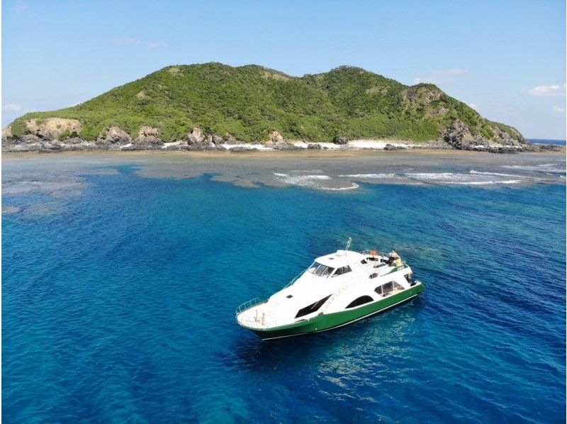 《National travel support coupon target》From Naha, 3 places a day tour, photo service! Real Kerama Islands snorkeling + whale watching service from January to Marchの紹介画像
