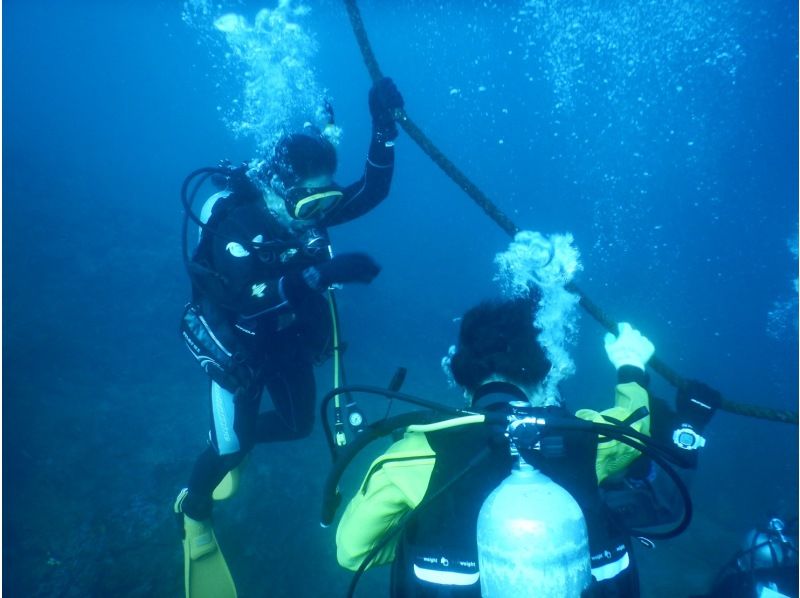 『中・上級者向け。2ボートダイビング』の紹介画像