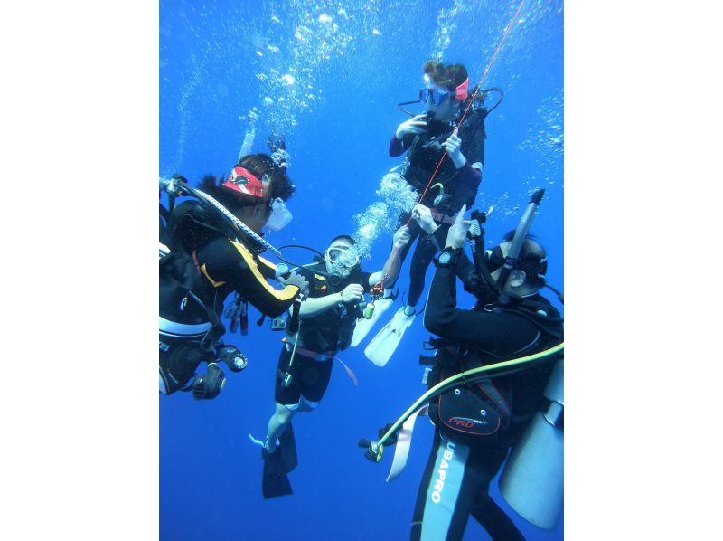 『中・上級者向け。2ボートダイビング』の紹介画像