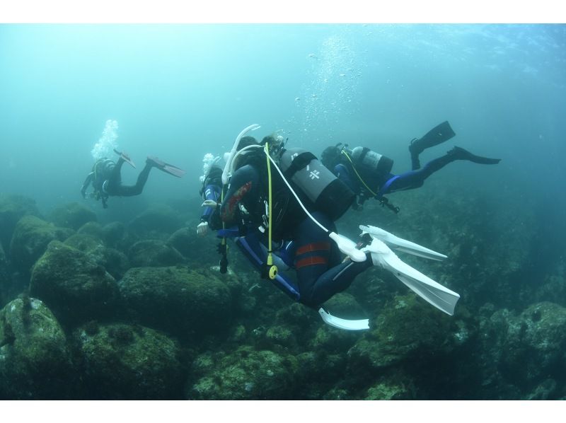 『中・上級者向け。2ボートダイビング』の紹介画像