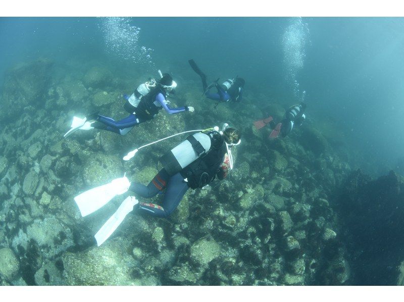 『中・上級者向け。2ボートダイビング』の紹介画像