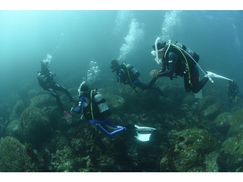 『中・上級者向け。2ボートダイビング』の紹介画像